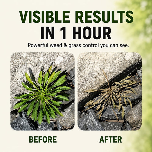 🌿The Easy Way to Get Rid of Unwanted Weeds Spray. Wait. Watch Them Disappear. 1
