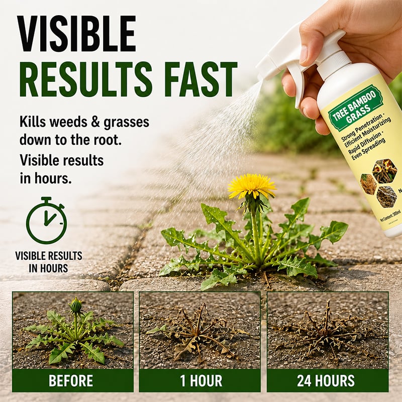 🌿The Easy Way to Get Rid of Unwanted Weeds Spray. Wait. Watch Them Disappear. 1