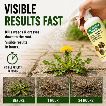 🌿The Easy Way to Get Rid of Unwanted Weeds Spray. Wait. Watch Them Disappear. 1