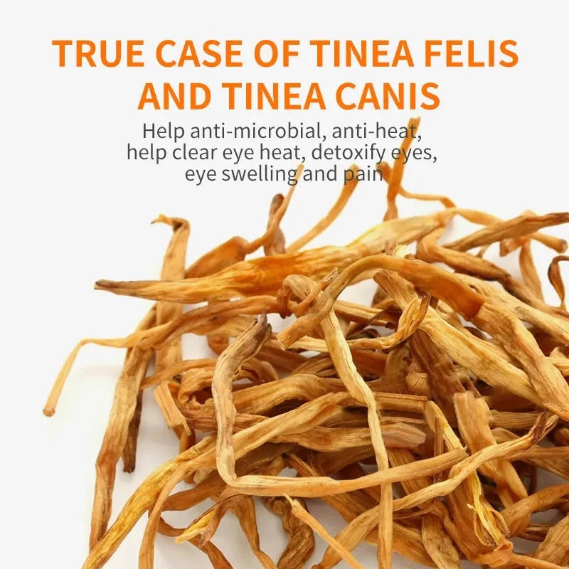 Gentle Eye Care for Happier, Cleaner Pets 🐶🐱