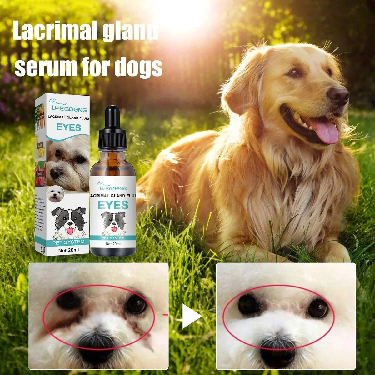 Gentle Eye Care for Happier, Cleaner Pets 🐶🐱