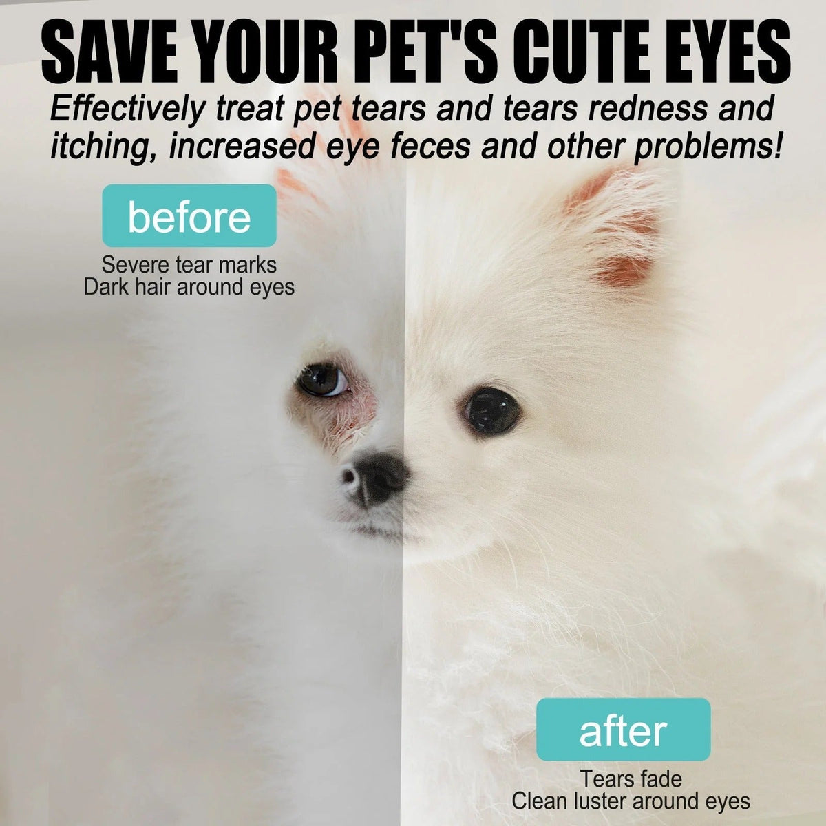 Gentle Eye Care for Happier, Cleaner Pets 🐶🐱