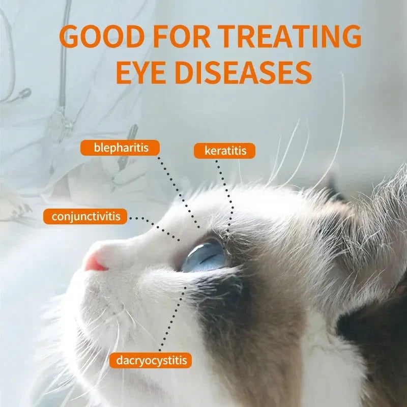 Gentle Eye Care for Happier, Cleaner Pets 🐶🐱
